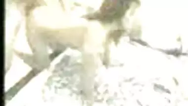 Bollywood celebrity Madhuri Dixit 